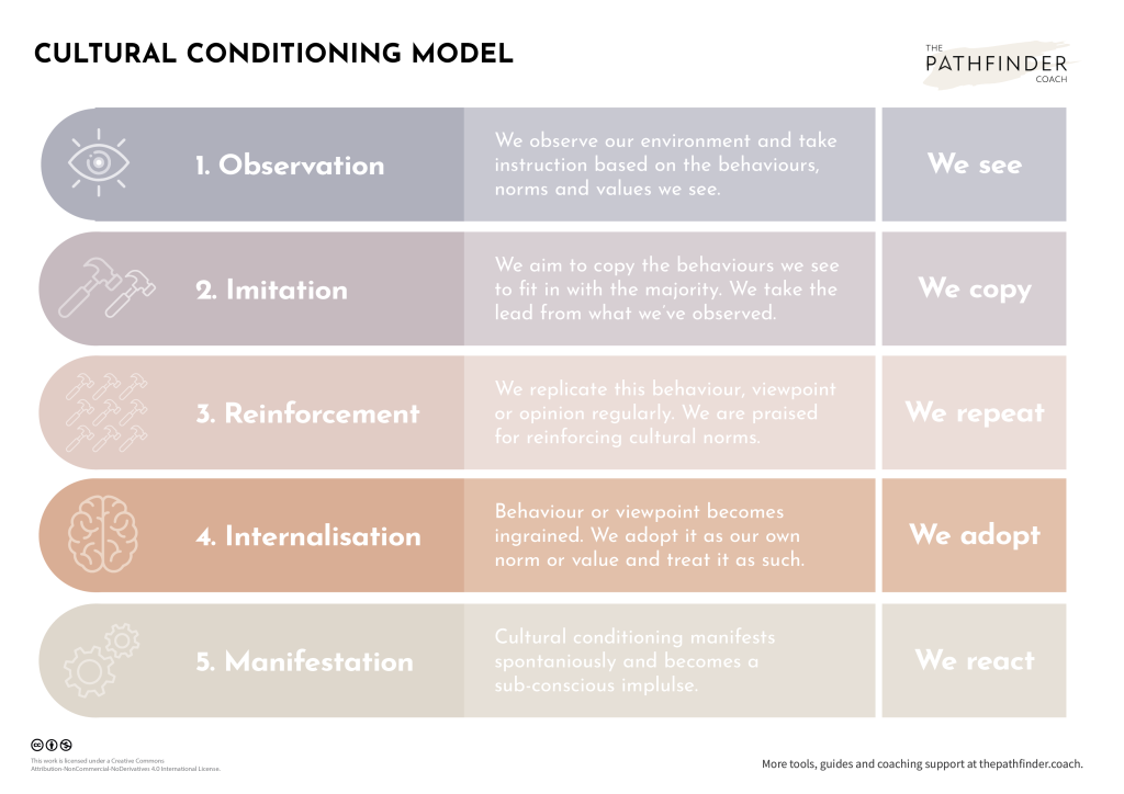 Cultural Conditioning Model 4 Cultural Conditioning Model - 4. Internalisations